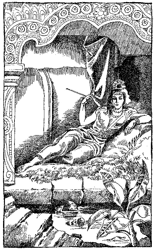 Иллюстрация к книге — В стране райской птицы. Амок [i_011.jpg]