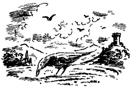 Иллюстрация к книге — Чучело и его слуга [_001.jpg]