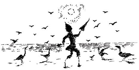 Иллюстрация к книге — Чучело и его слуга [_048.jpg]