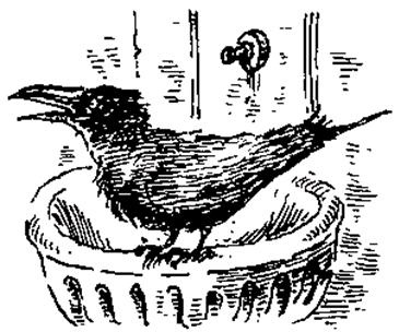 Иллюстрация к книге — Чучело и его слуга [_053.jpg]