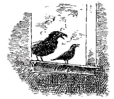 Иллюстрация к книге — Чучело и его слуга [_057.jpg]