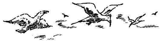 Иллюстрация к книге — Чучело и его слуга [_069.jpg]