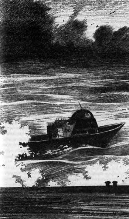 Иллюстрация к книге — Санитарный инспектор [pic_10.jpg]