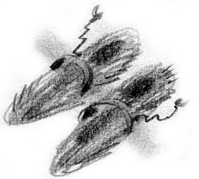 Иллюстрация к книге — Луноликой матери девы [i_024.jpg]