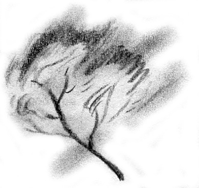 Иллюстрация к книге — Луноликой матери девы [i_038.jpg]