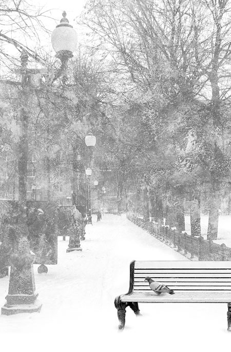 Иллюстрация к книге — Покаянные сны Михаила Афанасьевича [i_001.jpg]