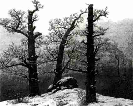 Иллюстрация к книге — Варяжская Русь. Славянская Атлантида [i_019.jpg]