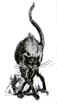 Иллюстрация к книге — Амулет Судьбы [i_034.jpg]