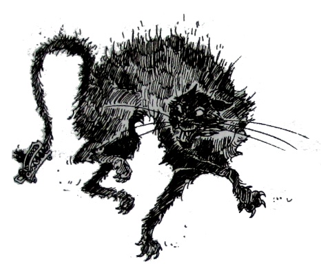 Иллюстрация к книге — Амулет Судьбы [i_035.jpg]