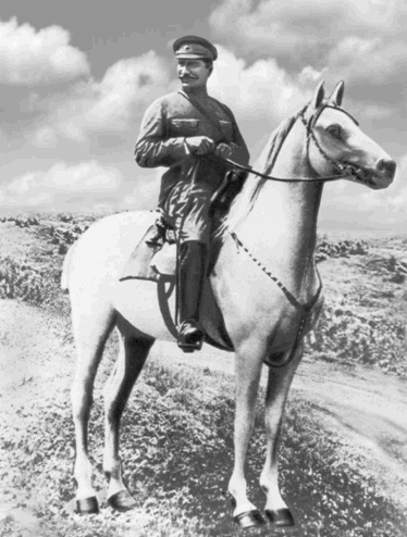 Иллюстрация к книге — Буденный [i_031.jpg]