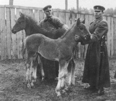 Иллюстрация к книге — Котовский [i_015.jpg]