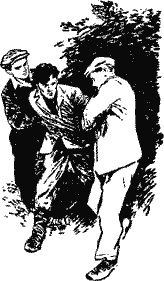 Иллюстрация к книге — Дело &quot;пестрых&quot; [i_009.jpg]