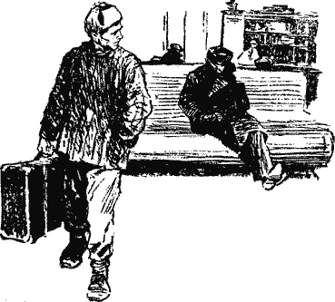 Иллюстрация к книге — Дело &quot;пестрых&quot; [i_020.jpg]