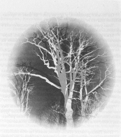 Иллюстрация к книге — Причуды моей памяти [_18.jpg]