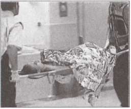 Иллюстрация к книге — Террор на пороге [i_006.jpg]