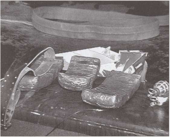 Иллюстрация к книге — Террор на пороге [i_037.jpg]