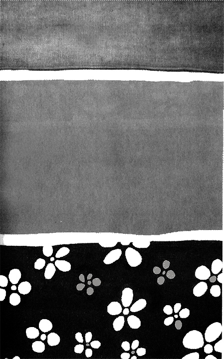 Иллюстрация к книге — Кулинарная книга [i_002.jpg]