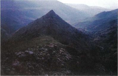 Иллюстрация к книге — Бумаги Иисуса [image015.jpg]