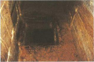 Иллюстрация к книге — Бумаги Иисуса [image025.jpg]