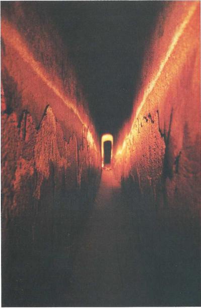 Иллюстрация к книге — Бумаги Иисуса [image037.jpg]