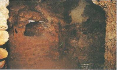 Иллюстрация к книге — Бумаги Иисуса [image038.jpg]