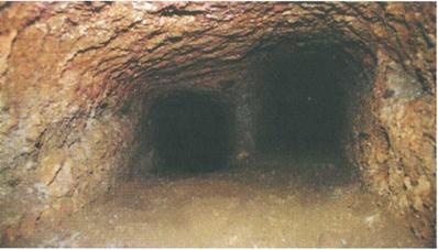 Иллюстрация к книге — Бумаги Иисуса [image039.jpg]