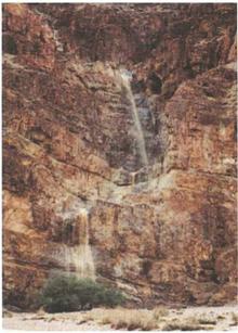 Иллюстрация к книге — Бумаги Иисуса [image056.jpg]