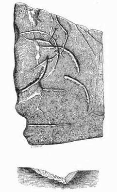 Иллюстрация к книге — Запретная археология [image20.jpg]