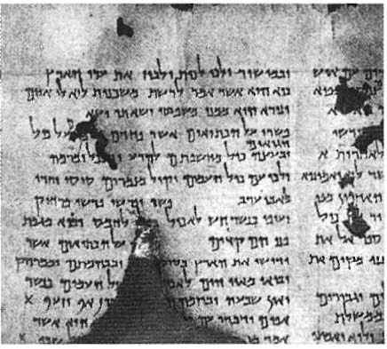 Иллюстрация к книге — Свитки Мертвого моря [img_07.jpg]