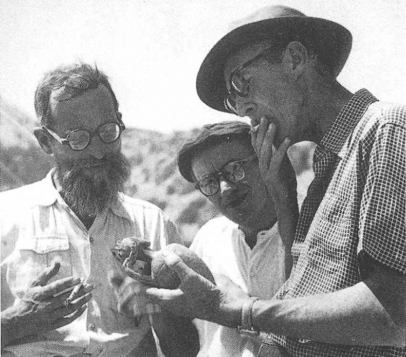 Иллюстрация к книге — Свитки Мертвого моря [img_11.jpg]