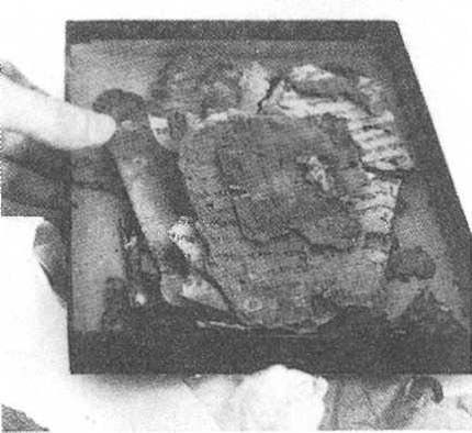 Иллюстрация к книге — Свитки Мертвого моря [img_25.jpg]