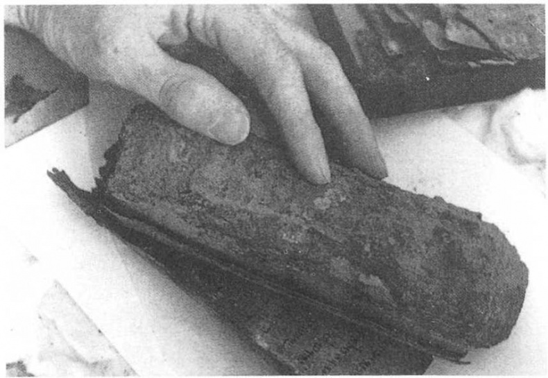 Иллюстрация к книге — Свитки Мертвого моря [img_26.jpg]