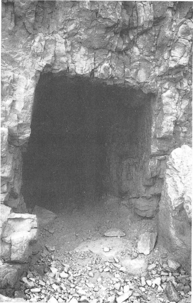 Иллюстрация к книге — Свитки Мертвого моря [img_35.jpg]