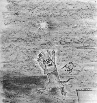 Иллюстрация к книге — Хорьки-спасатели на море [image16.jpg]