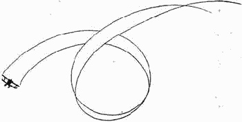 Иллюстрация к книге — Хорьки в поднебесье [image13.jpg]