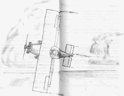 Иллюстрация к книге — Хорьки в поднебесье [image17.jpg]