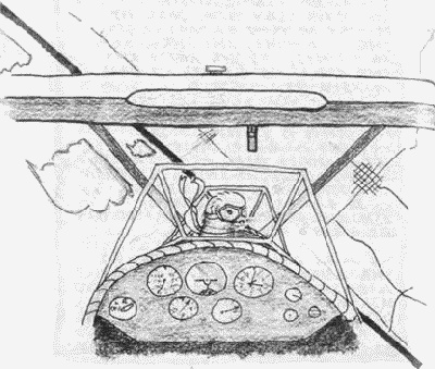 Иллюстрация к книге — Хорьки в поднебесье [image4.jpg]