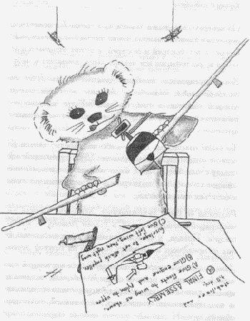 Иллюстрация к книге — Хорьки в поднебесье [image7.jpg]