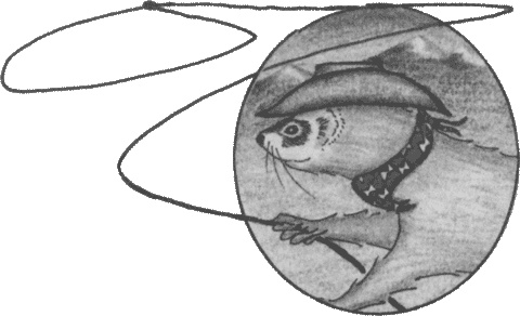 Иллюстрация к книге — Хорьки-фермеры в горах [pic05.jpg]