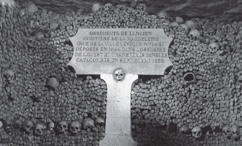 Иллюстрация к книге — Лучшая на свете прогулка. Пешком по Парижу [Autogen_eBook_id19.jpg]