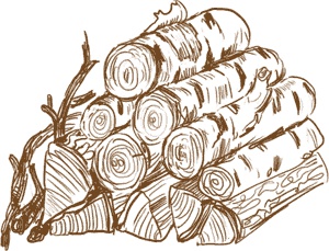 Иллюстрация к книге — Чужое солнце [i_024.jpg]