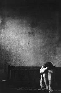 Иллюстрация к книге — Приют [i_001.jpg]