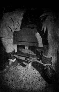 Иллюстрация к книге — Приют [i_008.jpg]