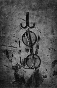 Иллюстрация к книге — Приют [i_013.jpg]