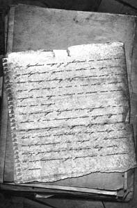 Иллюстрация к книге — Приют [i_027.jpg]