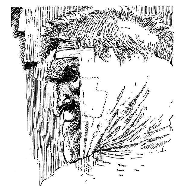 Иллюстрация к книге — Титус один [i_010.jpg]