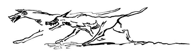 Иллюстрация к книге — Титус один [i_020.jpg]