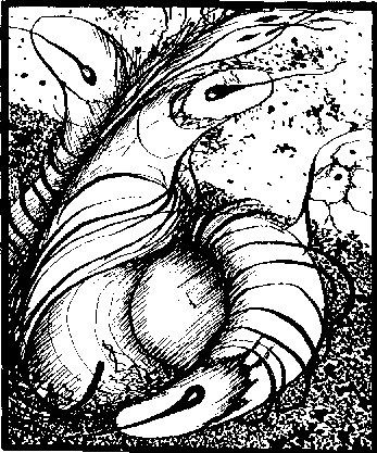 Иллюстрация к книге — Тропик Рака [i_002.jpg]