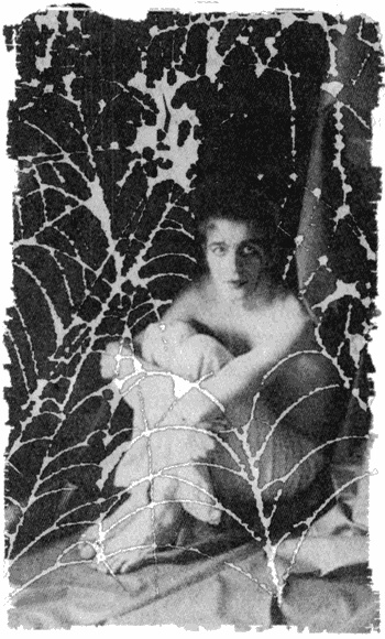 Иллюстрация к книге — Русский террор [i_010.jpg]