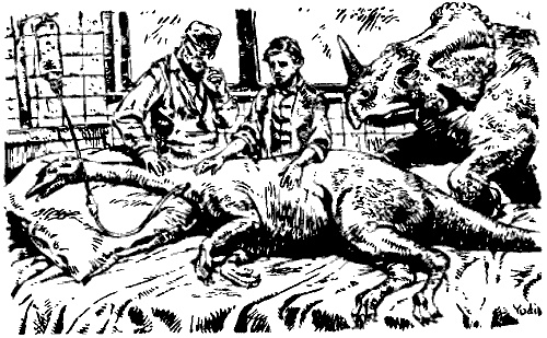 Иллюстрация к книге — Затерянная Динотопия [i_013.jpg]